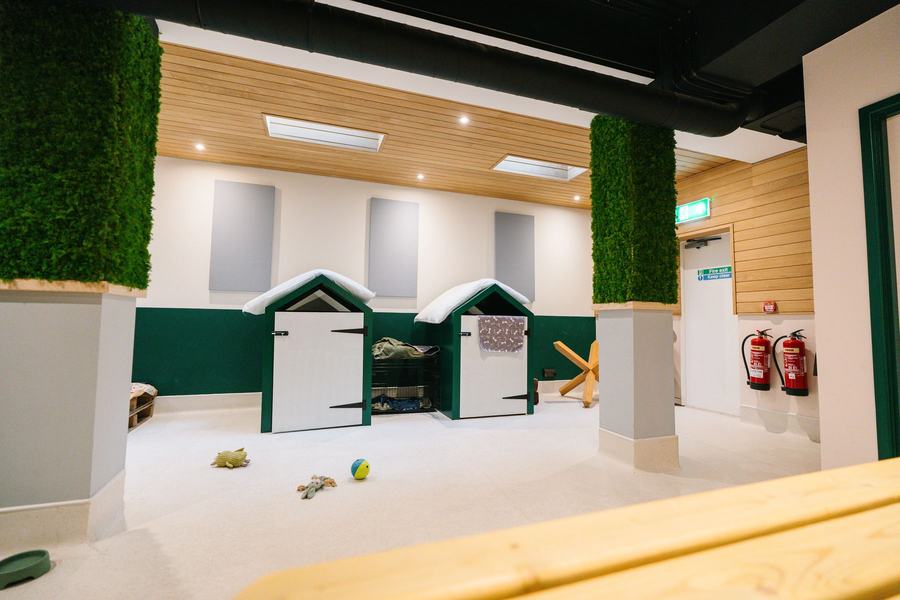 The Barkley Club dog boarding houses