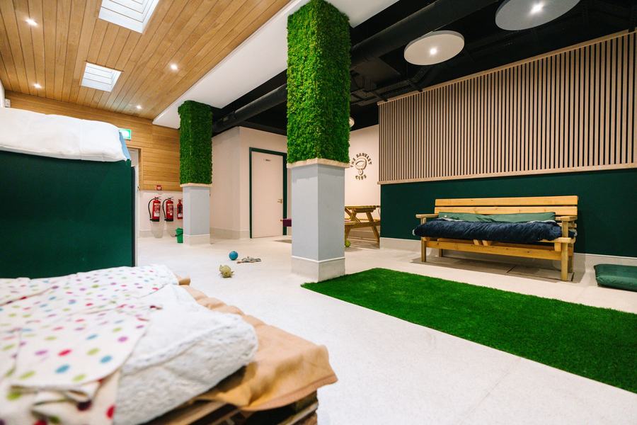 The Barkley Club dog lounge area