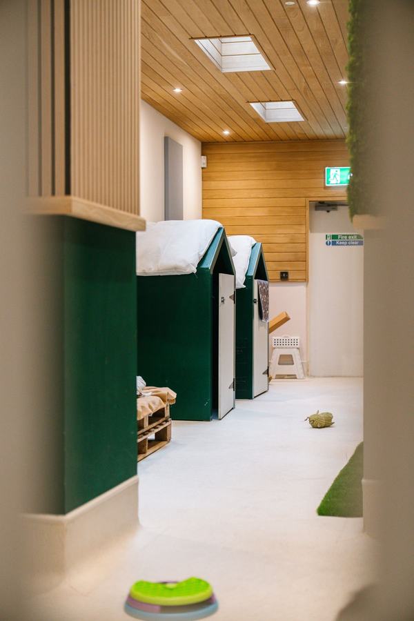 The Barkley Club boarding hallway
